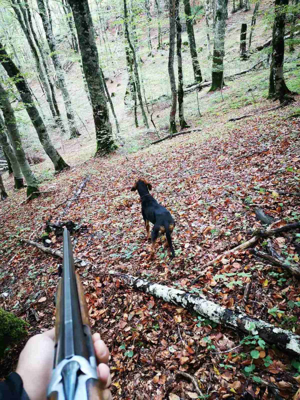 Hunting in Montenegro